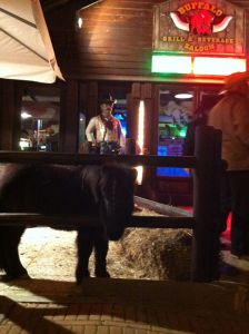 Buffalo Western @ buffalo saloon | Viareggio | Toscana | Italia